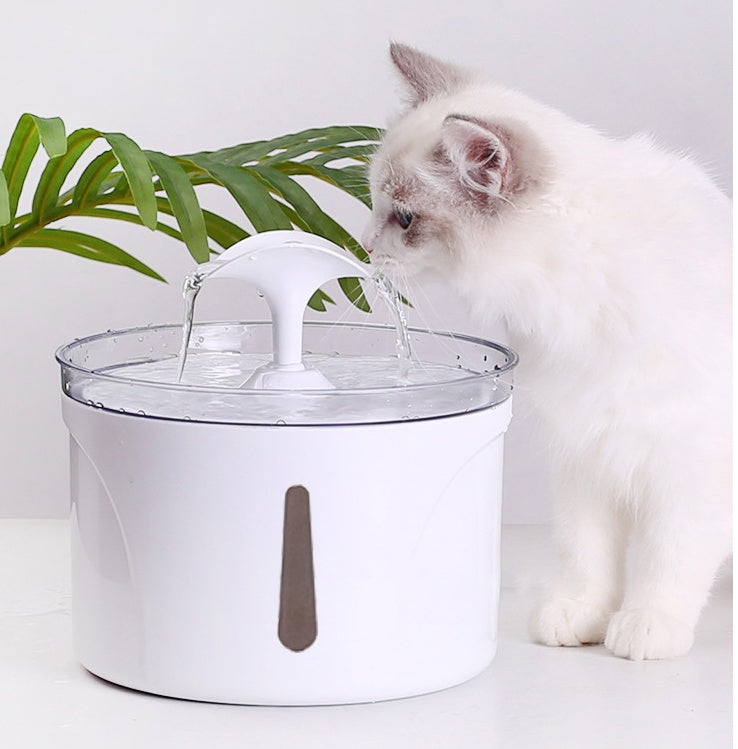 Pet Water Dispenser With Intelligent Automatic Circulating Filter