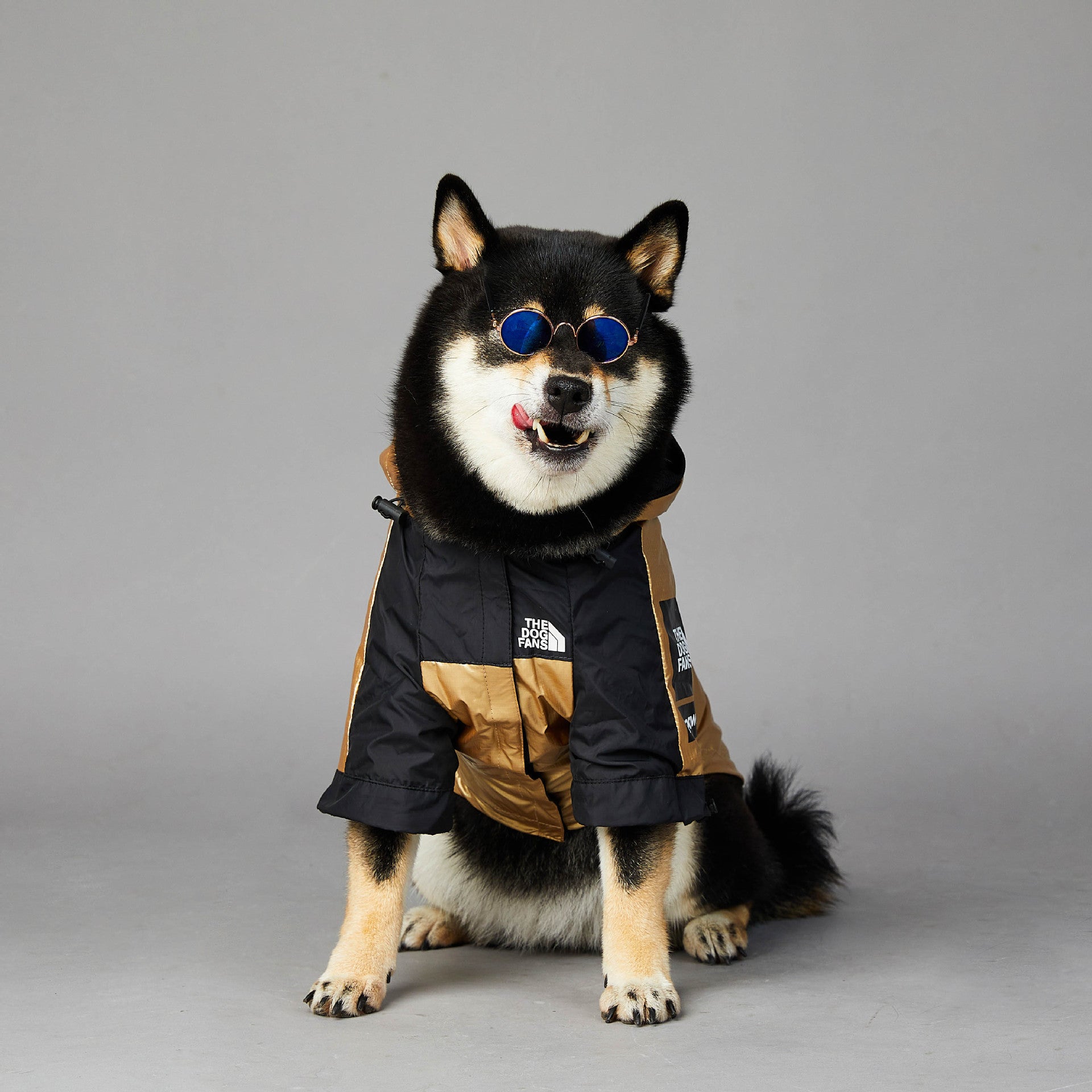 Large Dog Raincoat - Pet Jacket