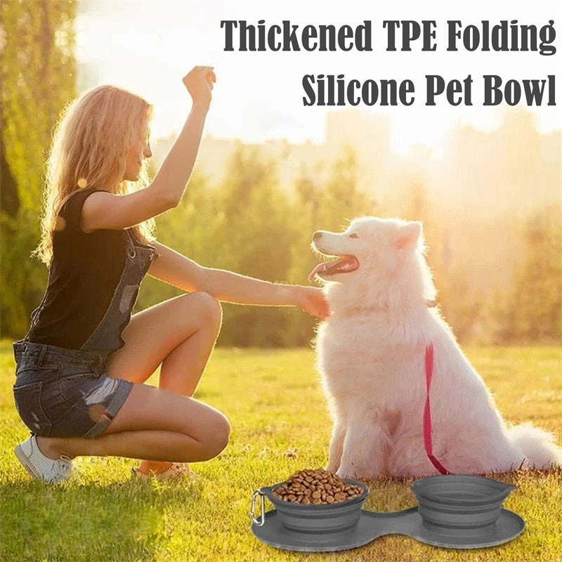 Rubber Foldable Pet Feeding Double Bowl For Dog And Cat