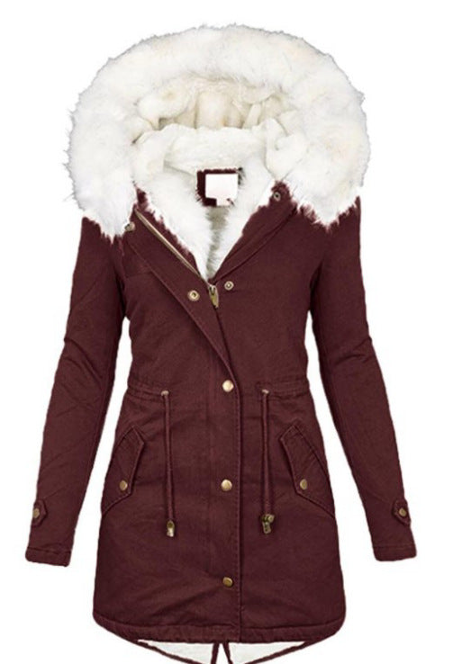 Women's Cotton Padded Jacket With White Collar