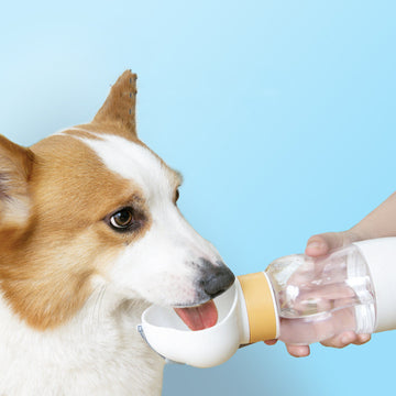 Go Out Portable Walking Water Dinking Cup For Dogs