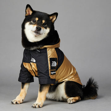 Large Dog Raincoat - Pet Jacket