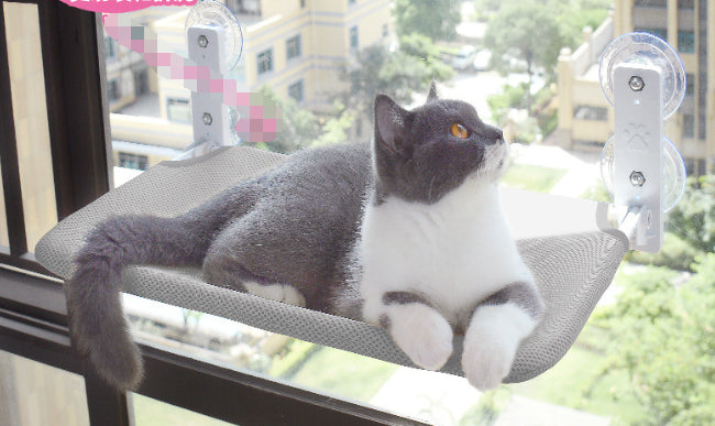 Pet Suction Cup Glass Window Hammock For Cat